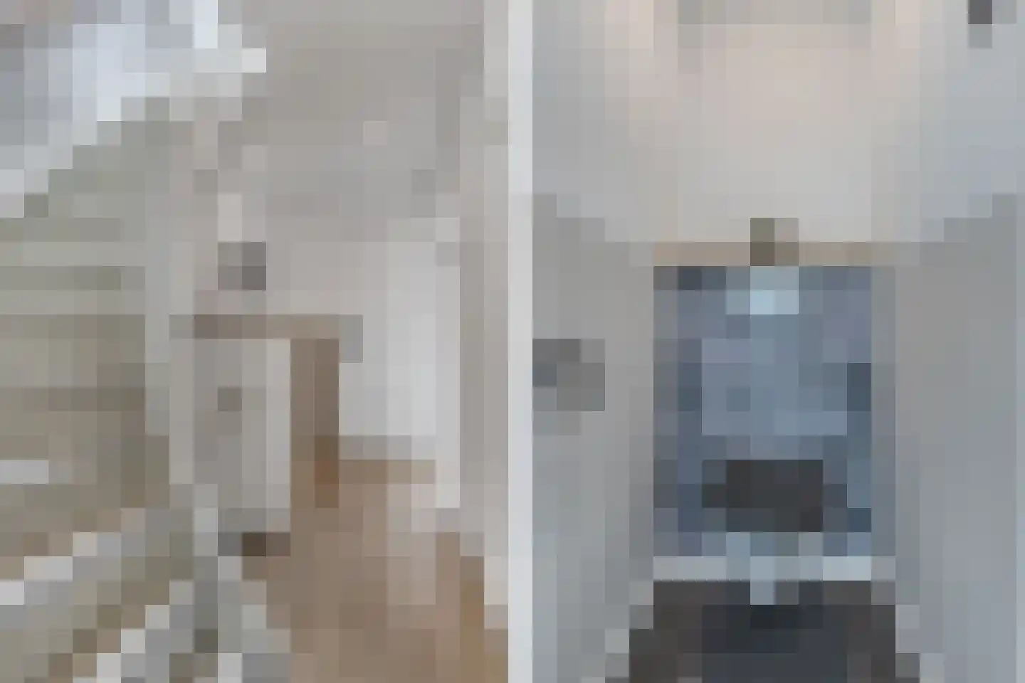 Noordeinde 14 Marknesse thumbnail 26