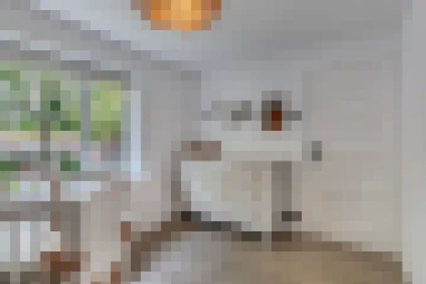 Noordeinde 14 Marknesse thumbnail 32