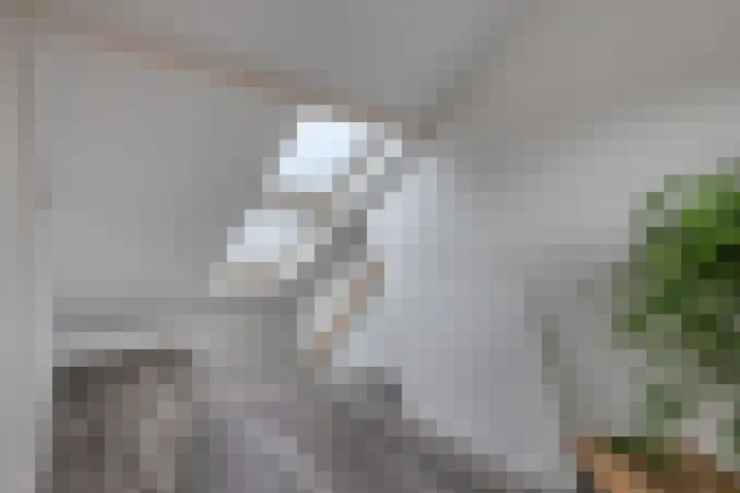 Noordeinde 14 Marknesse thumbnail 37