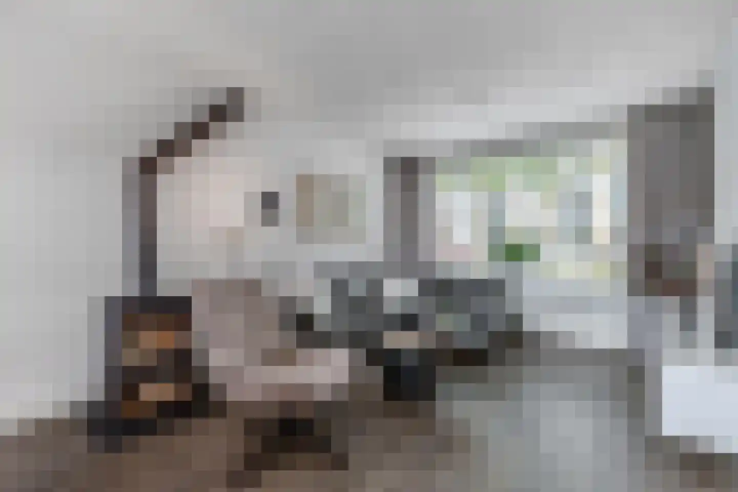 Noordeinde 14 Marknesse thumbnail 4