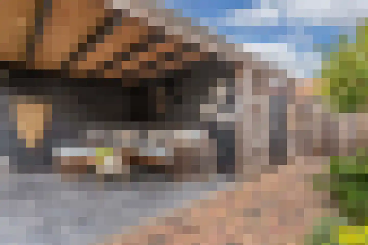 Noordeinde 14 Marknesse thumbnail 44