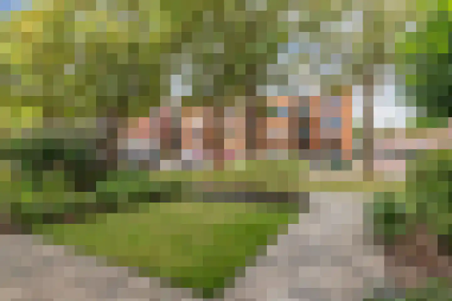 Noordeinde 14 Marknesse thumbnail 46