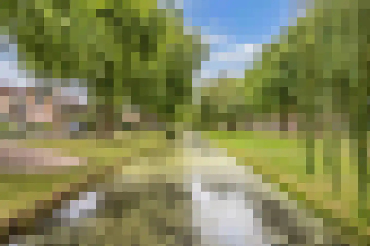Noordeinde 14 Marknesse thumbnail 47