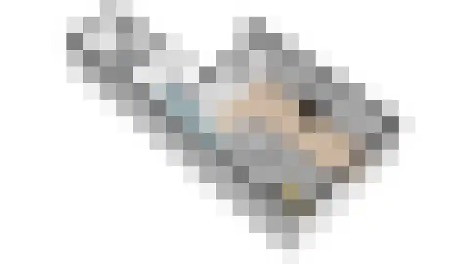 Noordeinde 14 Marknesse thumbnail 50