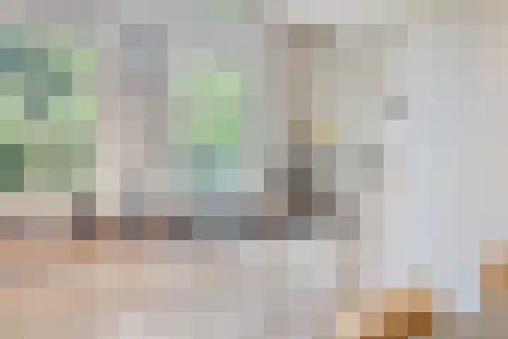 Noordeinde 141 Boskoop thumbnail 19