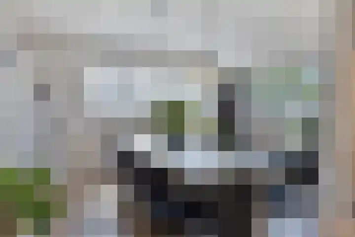 Noordeinde 141 Boskoop thumbnail 24