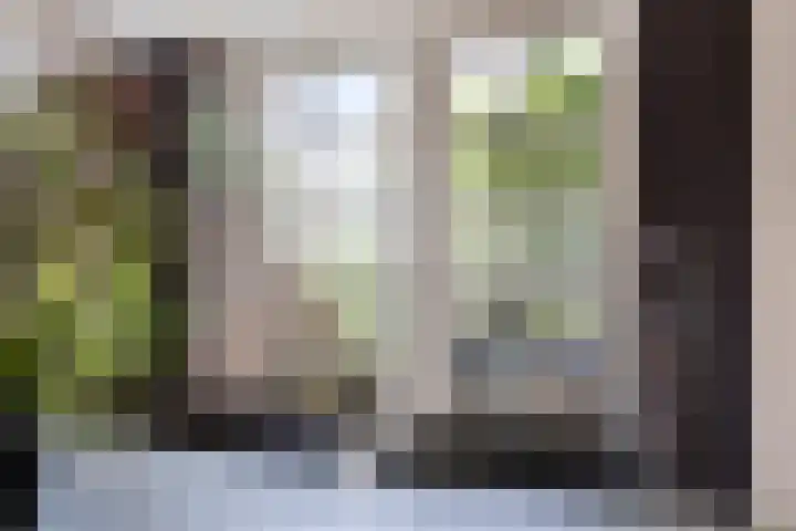 Noordeinde 141 Boskoop thumbnail 25
