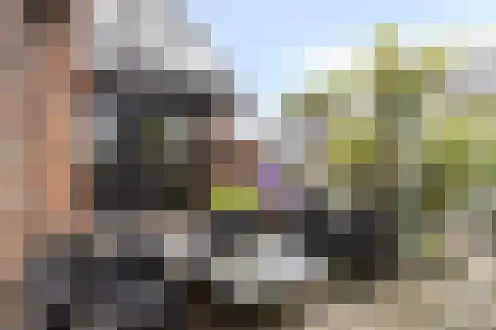 Noordeinde 141 Boskoop thumbnail 26