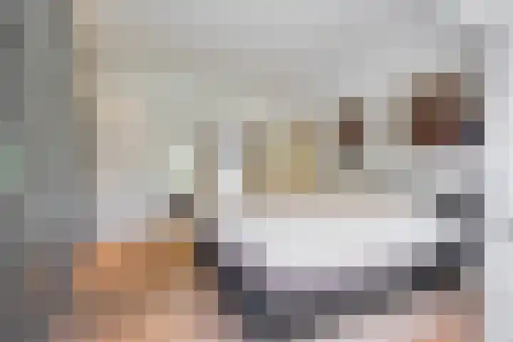 Noordeinde 141 Boskoop thumbnail 31