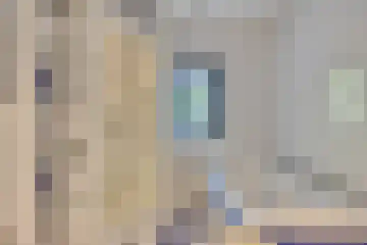 Noordeinde 141 Boskoop thumbnail 33