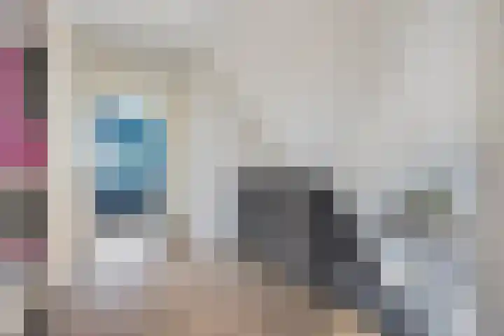 Noordeinde 141 Boskoop thumbnail 37