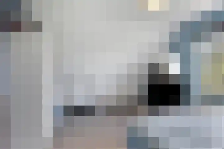 Noordeinde 141 Boskoop thumbnail 39