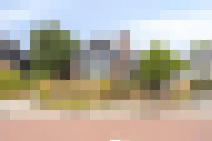 Noordeinde 141 Boskoop thumbnail 5