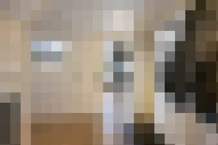 Noordeinde 141 Boskoop thumbnail 51