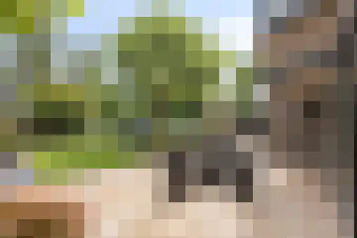 Noordeinde 141 Boskoop thumbnail 58