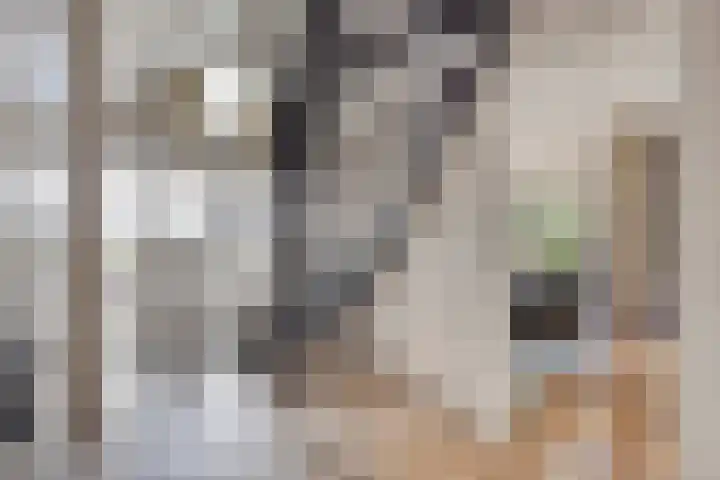 Noordeinde 141 Boskoop thumbnail 8