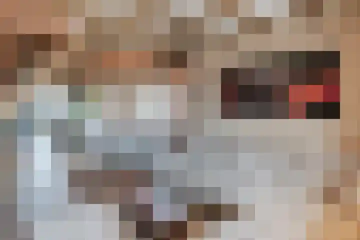 Noordeinde 15 B Grootschermer thumbnail 10