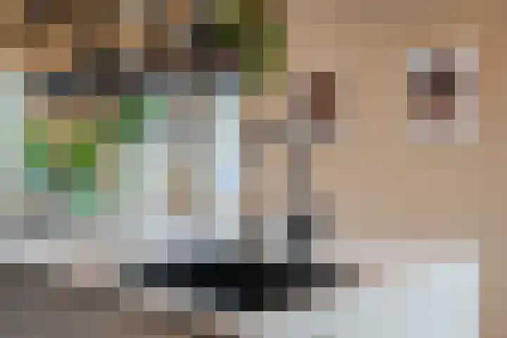 Noordeinde 15 B Grootschermer thumbnail 17