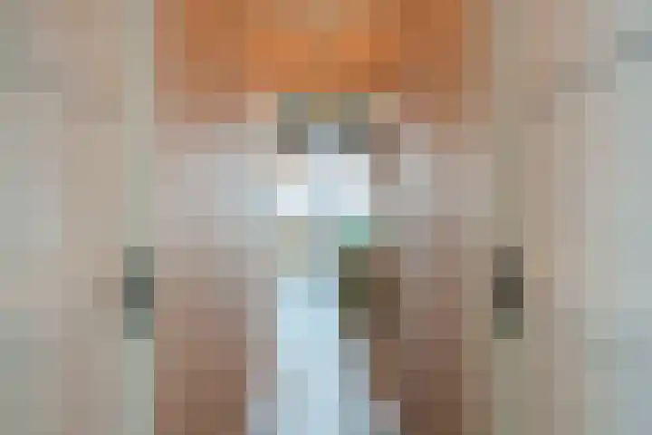 Noordeinde 15 B Grootschermer thumbnail 28