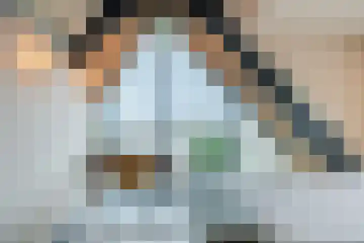 Noordeinde 15 B Grootschermer thumbnail 32