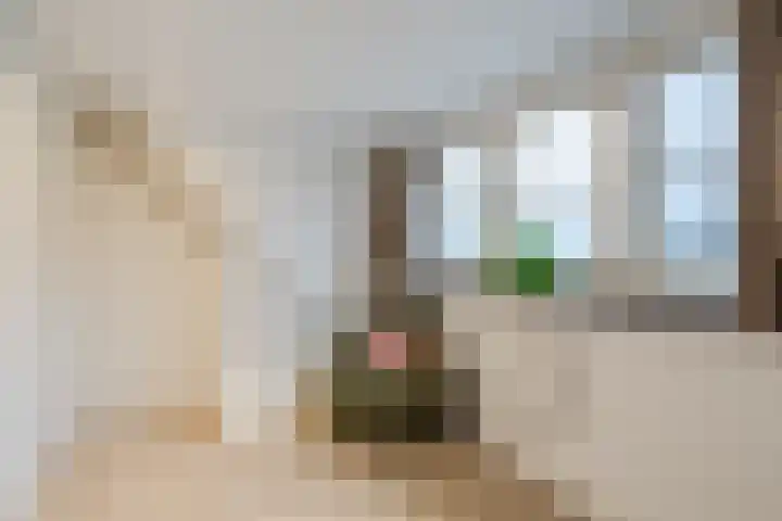 Noordeinde 15 B Grootschermer thumbnail 37