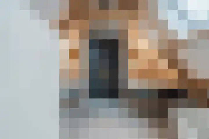 Noordeinde 15 B Grootschermer thumbnail 5