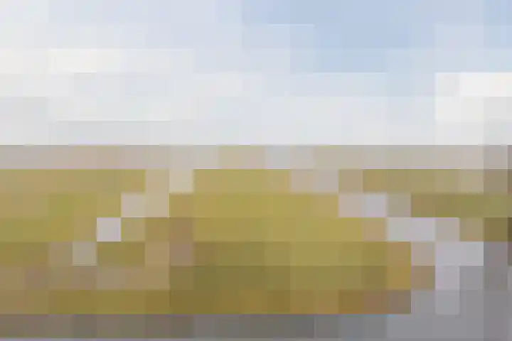 Noordeinde 15 B Grootschermer thumbnail 61