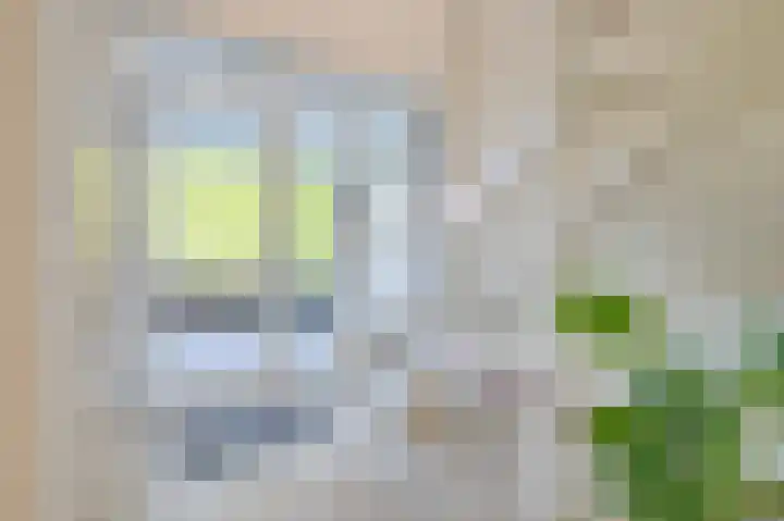 Noordeinde 15 Koudekerke thumbnail 17