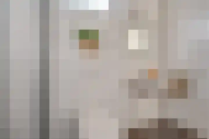 Noordeinde 15 Koudekerke thumbnail 25
