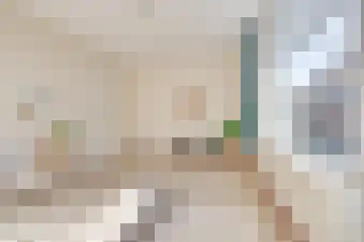 Noordeinde 15 Koudekerke thumbnail 27