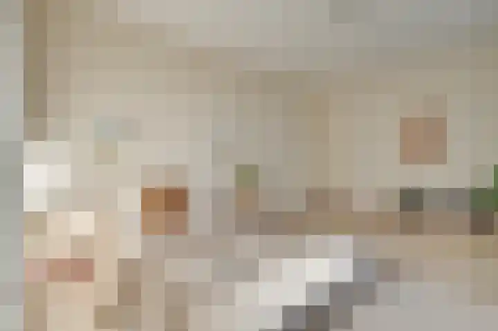 Noordeinde 15 Koudekerke thumbnail 30