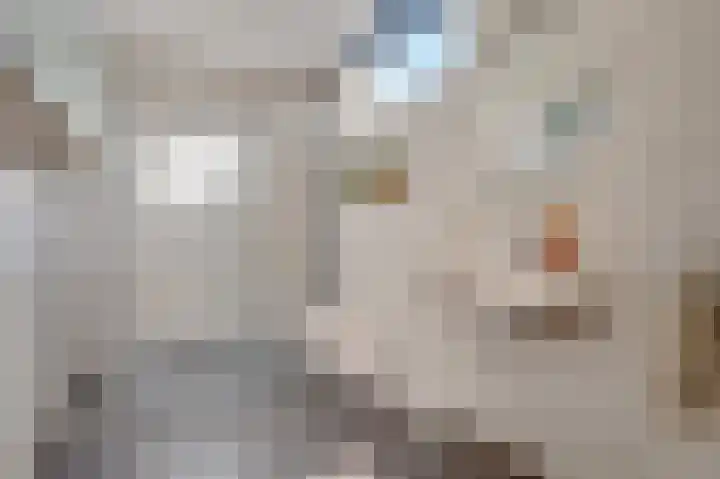 Noordeinde 15 Koudekerke thumbnail 4