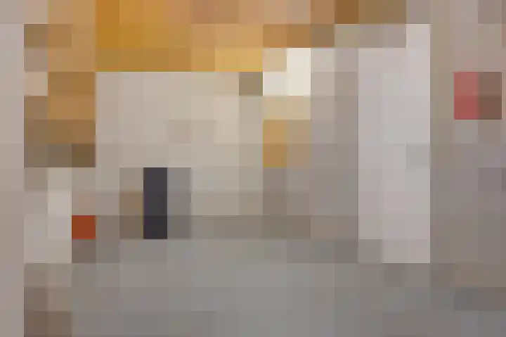 Noordeinde 15 Koudekerke thumbnail 47