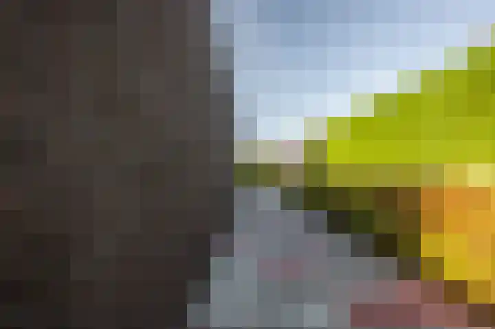 Noordeinde 15 Koudekerke thumbnail 50