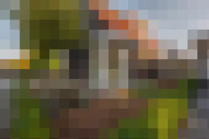 Noordeinde 15 Koudekerke thumbnail 7