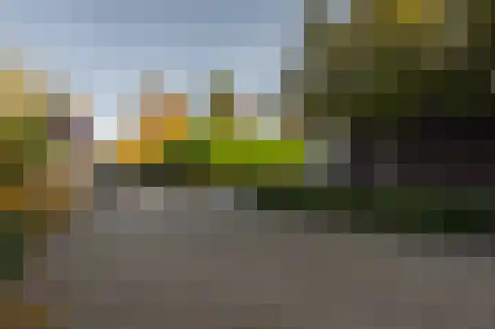 Noordeinde 15 Koudekerke thumbnail 8