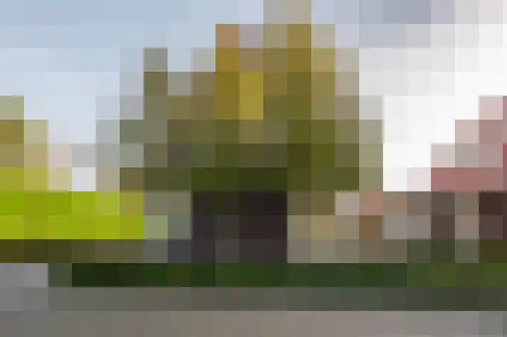 Noordeinde 15 Koudekerke thumbnail 9