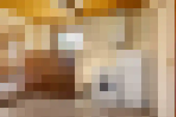Noordeinde 15 Oostzaan thumbnail 19