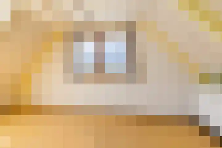Noordeinde 15 Oostzaan thumbnail 27