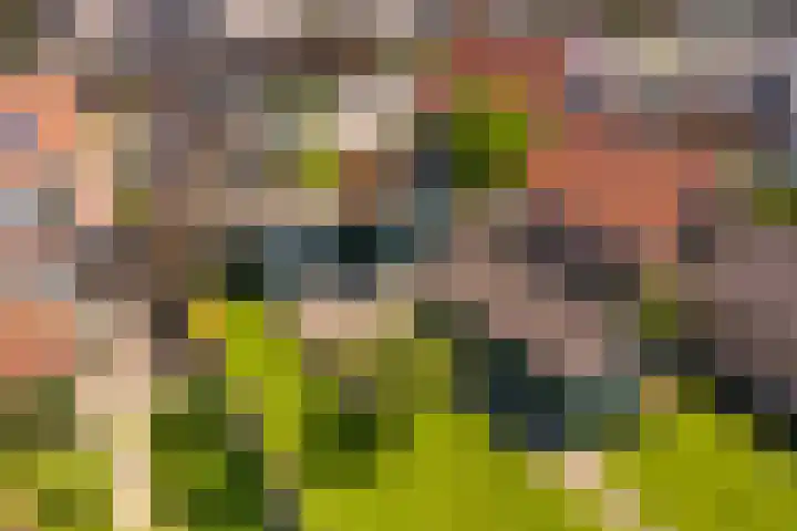 Noordeinde 15 Oostzaan thumbnail 31