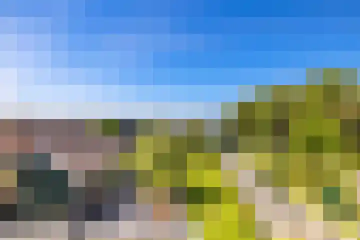 Noordeinde 15 Oostzaan thumbnail 32