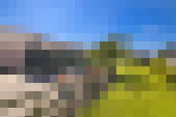 Noordeinde 15 Oostzaan thumbnail 36