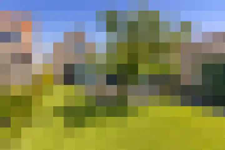 Noordeinde 15 Oostzaan thumbnail 37