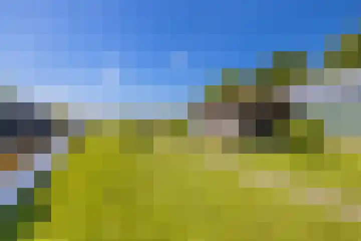 Noordeinde 15 Oostzaan thumbnail 39