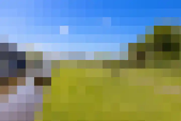 Noordeinde 15 Oostzaan thumbnail 40