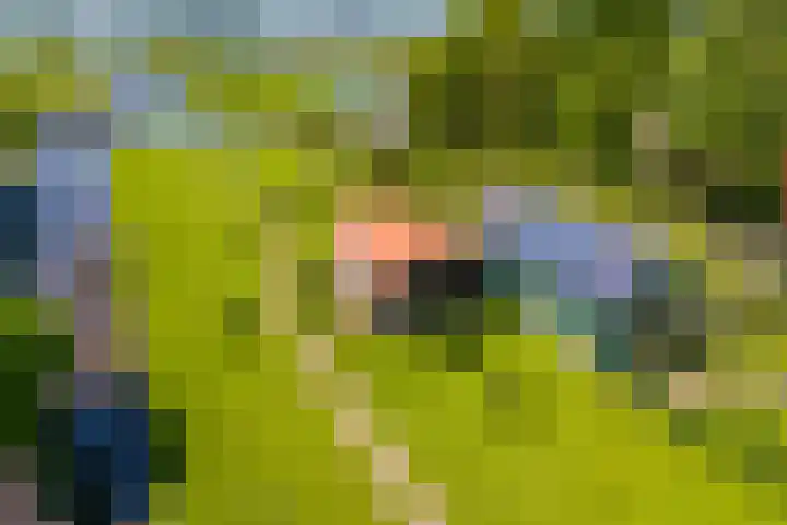 Noordeinde 15 Oostzaan thumbnail 44