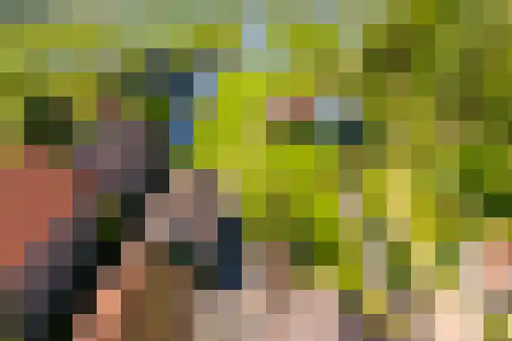 Noordeinde 15 Oostzaan thumbnail 46