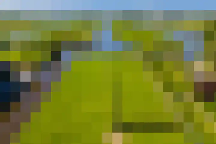 Noordeinde 15 Oostzaan thumbnail 48