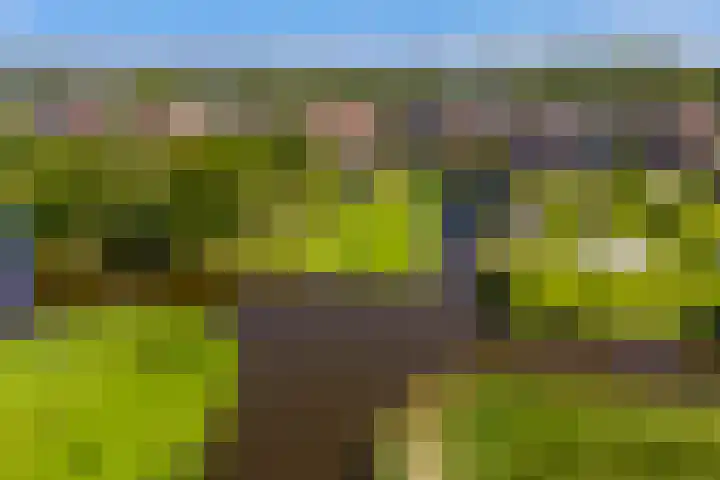 Noordeinde 15 Oostzaan thumbnail 49