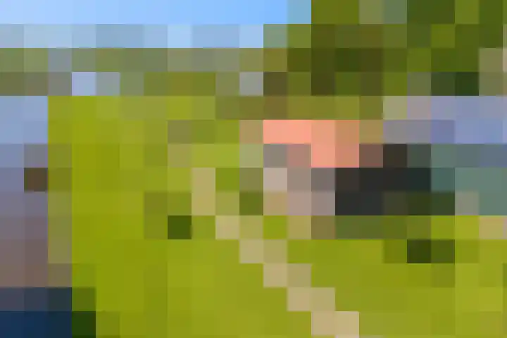Noordeinde 15 Oostzaan thumbnail 5